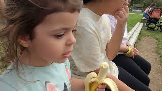 Ariana and sisters have amazing day at Willows Activity Farm | Fun day out