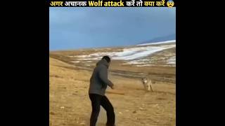 How To Survive A Wolf Attack 😨 || #shotrs #facts #funfacts #factsmine #thefact #intresting #top #new