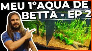 🔴MONTANDO O AQUÁRIO DUPLO DE BETTA! EP. 2 - MEU PRIMEIRO AQUÁRIO DE BETTA |Mr. Betta|