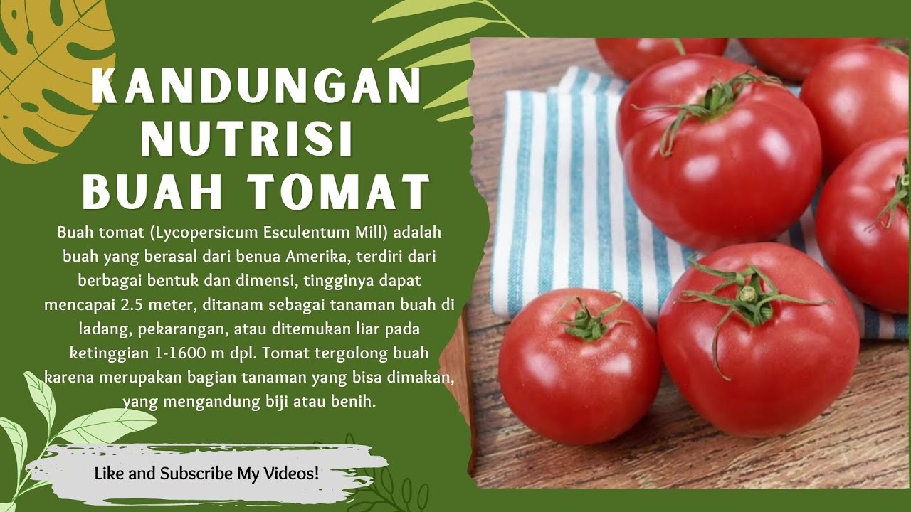 Rahasia Kesehatan Tersembunyi: 7 Manfaat Mengejutkan Buah Tomat Yang ...