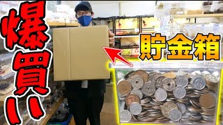 【虫カゴ貯金】小銭でパンパンになったお金を関東最大級の昆虫ショップで全部使った結果が凄すぎた