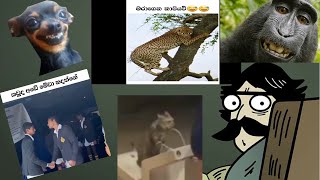 🔞මේ දවස් වල ප්‍රසිද්ධ Meme Sounds වල Original වීඩියෝ | කෑවද බන්?, කැ# වැඩ කරන්න..