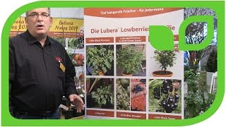 The Lowberry Plant Family from Lubera