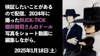 検証しながら2024年の櫻井敦司ドール写真を編集。