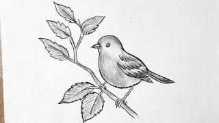How to draw a bird easy step by step for beginners || Sparrow Drawing