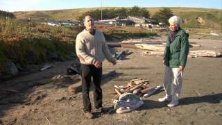 How to Build a Driftwood Xylophone-HD