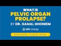 What is Pelvic Organ Prolapse? By Dr. Gamal Ghoniem - UC Irvine Department of Urology