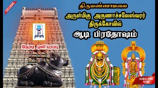 பிரதோஷம்  | திருவண்ணாமலை அருணாசலேஸ்வரர் திருக்கோயில் | SR Tamilan