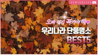 해외여행 가지마세요~이번가을에 꼭 가야하는 단풍명소 BEST5