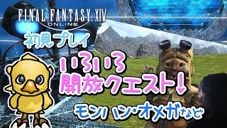 【FF14】初見プレイ いろいろ開放クエスト！モンハンコラボ・オメガなど【女性実況】