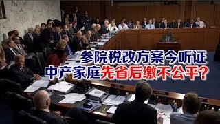 1128 参院税改方案将出炉 中产家庭先省后缴不公平？