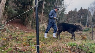 赤ちゃんが大きすぎて、、