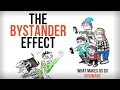 Psychology or Lack Of Empathy? The Bystander Effect Explained | Impact of Kitty Genovese's Case