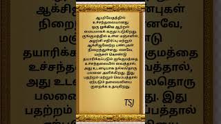 ஆயுர்வேதத்தில் உச்சந்தலையானது ஒரு முக்கிய ஆற்றல் மையமாகக் கருதப்படுகிறது.