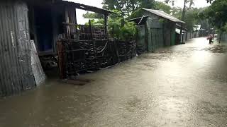 অবিরাম বৃষ্টিতে বেহাল আলিপুরদুয়ার