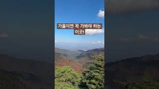 단풍으로 유명한 강원도 원주 치악산 (feat.구룡사)