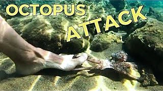 Octopus Attack - Attacco del Polpo