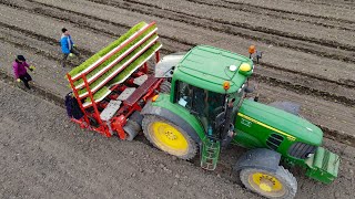 Sázení celeru 2021 I John Deere 6930 I Vegetable planting I Checchi magli