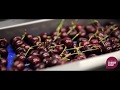 New Zealand Cherry Corp promo video - English, no subs