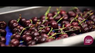 New Zealand Cherry Corp promo video - English, no subs