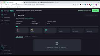 Automating Web Vulnerability Scans with GitHub Actions and StackHawk