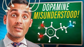 The ‘TRUTH’ About Dopamine - The Neuroscience Behind Your Brain's Reward System