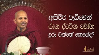 අනිච්ච වැඩීමෙන් රාග, ද්වේශ, මෝහ දුරු වන්නේ කෙසේද?