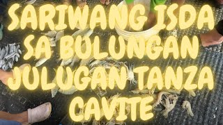 BULUNGAN SA JULUGAN FISH TERMINAL TANZA CAVITE