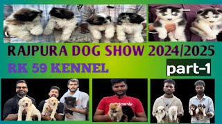 Cheapest Dogs Market In Rajpura Punjab | Rajpura Dog Show 2024 #dog