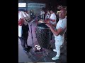 raÚl acosta y oro solido live 2024 mainorcongas