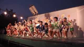 もみさんぽ100選（36） 貞光夏祭り 阿波踊り大会・こだま連【徳島県美馬郡つるぎ町貞光】（平成25年）