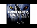 David Guetta & Sia -She Wolf (Falling to Pieces)