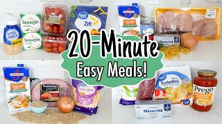 5 of the BEST 20 Minute Dinners! | fast & EASY Tasty Family Meals! | Cooking Cha