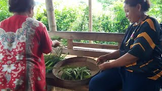 PANEN BERBAGAI SAYURAN DARI KEBUN SENDIRI