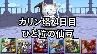 パズドラ ドラゴンボールコラボ カリン塔 4日目 ひと粒の仙豆