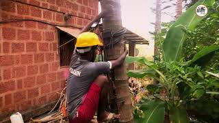 कोकणात नारळ काढणे झाले सोपे धाऊलवल्ली , राजापुर( Easy To Climb On Coconut Tree in Kokan, Rajapur)