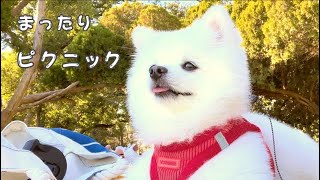 天気が良い日にわんちゃんとピクニック！まった～りゆった～り