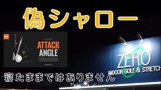 シャロースイングで失敗する方へ　偽シャローにご注意ください　#シャローイング #シャロースイング #インサイドアウト #アンダー #あおり打ち