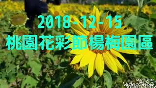 2018桃園花彩節楊梅園區