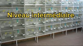 Nouveau format de vidéo : niveau intermédiaire