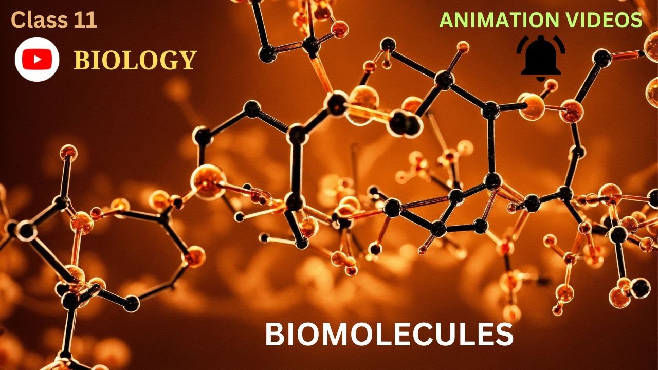 CBSE Class 11 || Biology || Biomolecules || Animation || In English ...