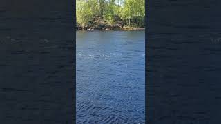 Tranquilidad en la pesca: Barcas de pescadores disfrutando en aguas calmas de Finlandia #finlandia