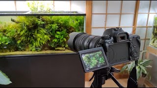 タムロンの望遠レンズで水草を撮ってみました。TAMRON　SP 70 200mm F2 8 Di VC USD G2