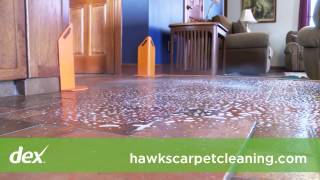 Hawks Carpet Cleaning And Restoration Lima, OH
