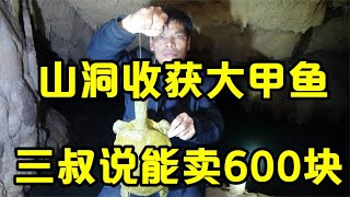 山洞里收获一只大甲鱼，三叔直呼能卖600块，小莫听完好开心【壮乡小莫】