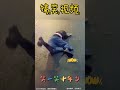 抖音搞笑视频合集 搞笑 爆笑 抖音