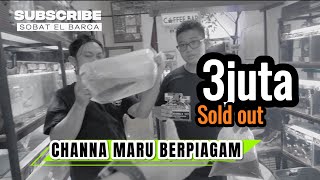 IKAN CHANNA MARU BERPIAGAM LAKU DIHARGA 3 JUTAAN SOB