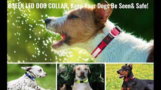 The Best LED Dog Collar in 2021| Super Bright Dog Collars from BSEEN