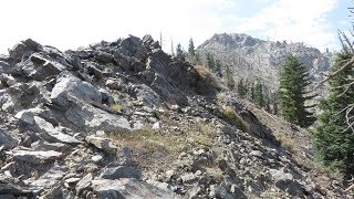 Etiwanda Preserve to Etiwanda Peak (bear sighting included!)