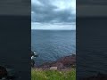 Cape Spear! #canada #newfoundland #travel #nature #summer #landscape #ocean #oceanwaves #stjohns